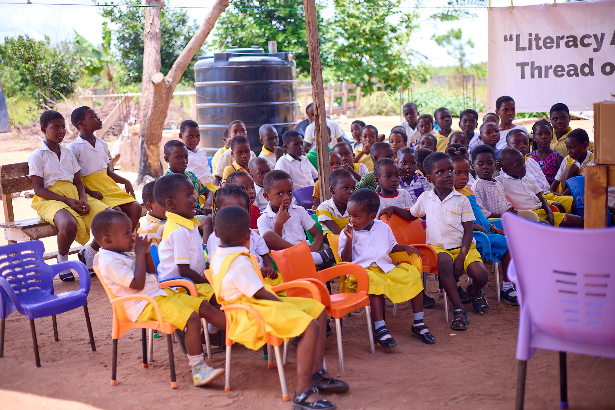 Libraries Without Walls